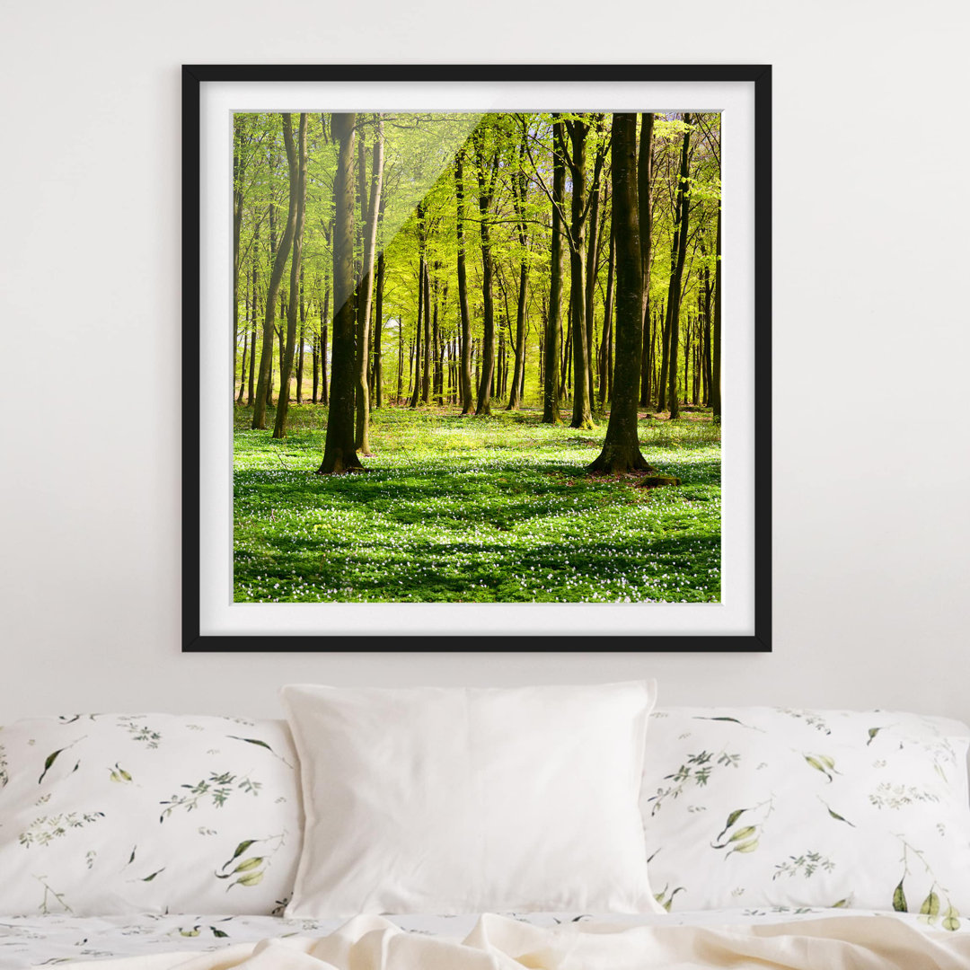 Gerahmter Fotodruck Forest Meadow