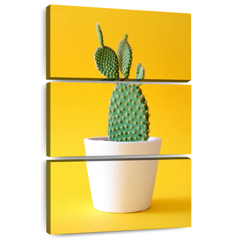 Potted Prickly Pear Cactus, 57" H x 36" W