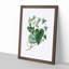 Bindweed Illustration - Single Picture Frame Painting-55466198-55466199
