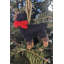 Arcadia Home Rottweiler Hand-Knit Ornament