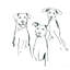 Adorable Moutons I-87401132-97780478-97780568