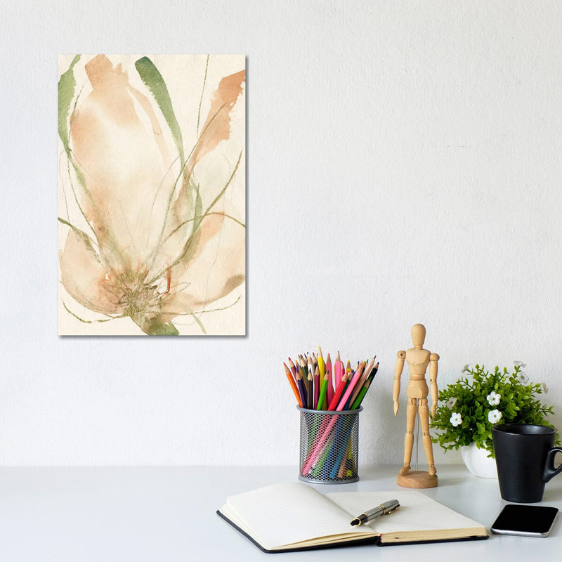 Petal Sketches II by Jennifer Goldberger - Wrapped Canvas Painting, 20.32 cm H x 30.48 cm W