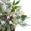 28 plantes