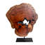 Sculpture irrégulière en bois de racine sculptée à la main, sculpture sur pied de table abstraite pour la maison, décoration naturelle, bord de table, souche d'arbre - grand (l 10,25 po x H 14 po)