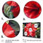 «Red Tropical Hibiscus Harmony I», reproduction sur toile-426432324-426432328