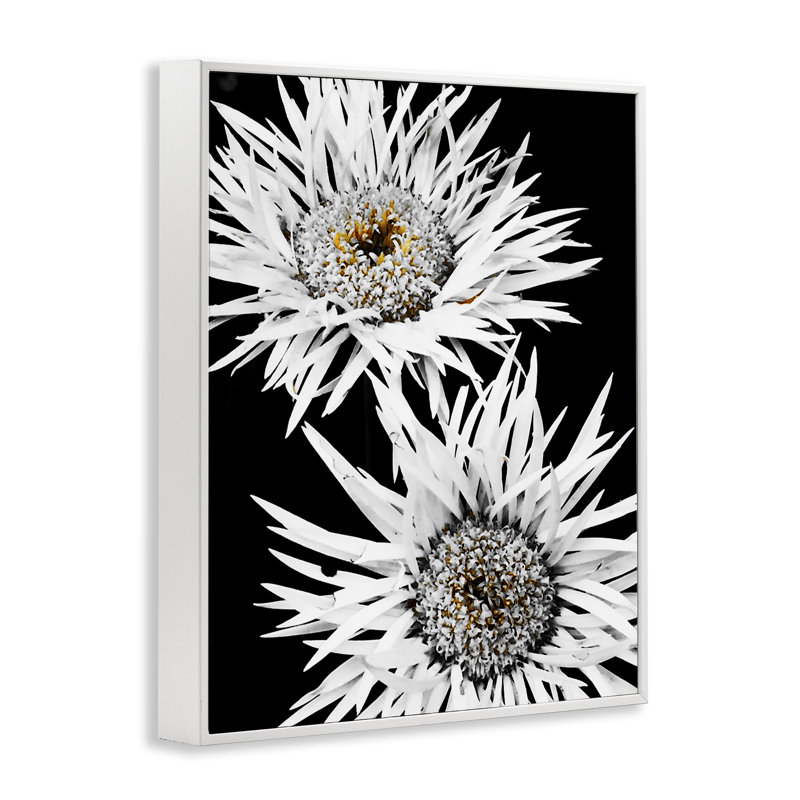 «Bold Contrast Flower Buds», estampe numérique encadrée par Heidi Bannon, H 30 po x l 24 po
