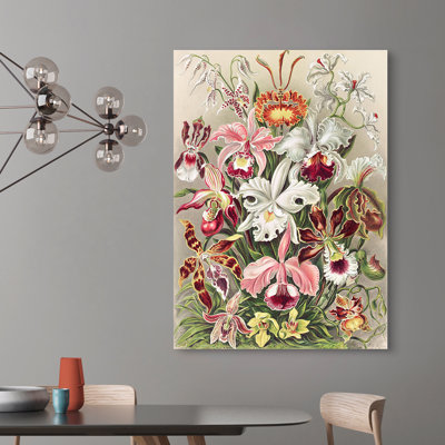 Orchidaeacae by Ernst Haeckel - 1 Piece Wrapped Canvas Wall Art