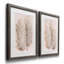 Pampas Grass III - Ensemble de 2 reproductions de cadres photo sur papier