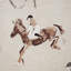 Dalbey Jockey Fabric