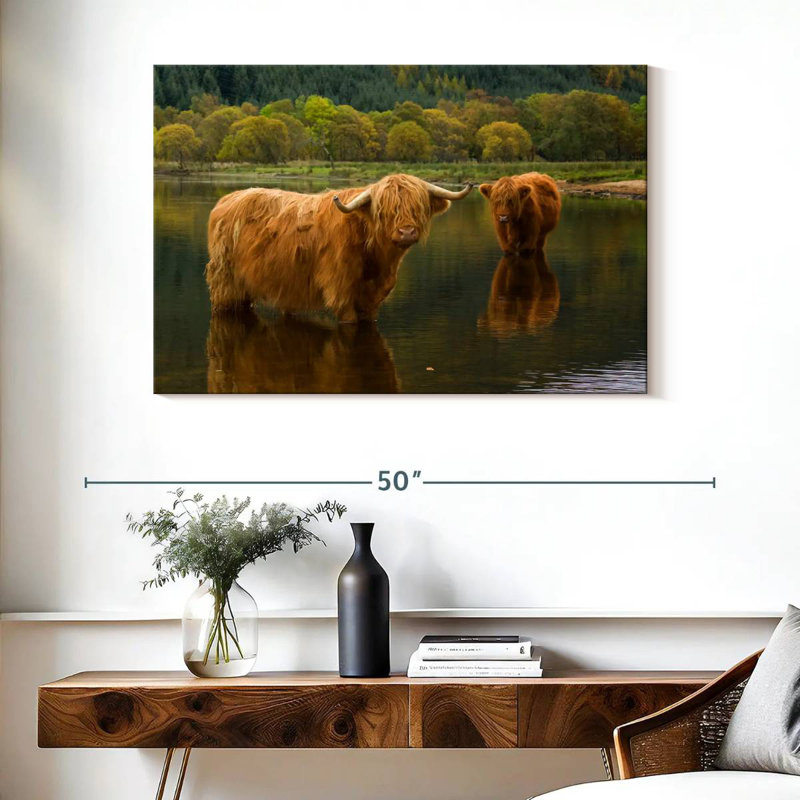 Brampt Bathing Highland Cow, H 26 po x l 39 po