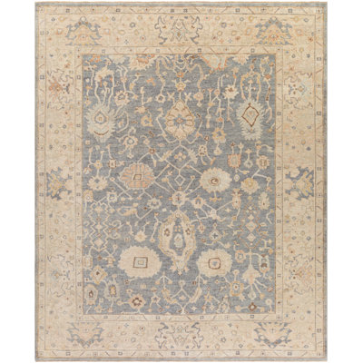 Daucourt Wool Oriental Area Rug