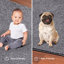Tapis gris Amberlee