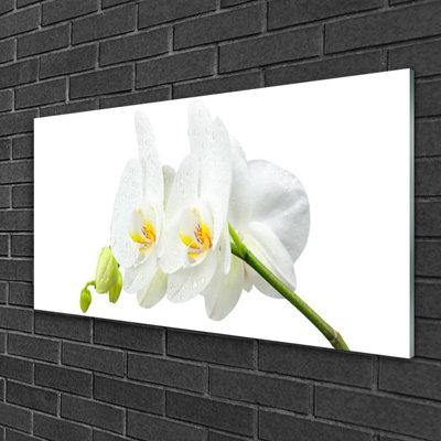 Glass Print Wall Art 100X50cm Image Printed On Glass Decorative Wall Picture Behind Toughened / Tempered Safety Real Glass For Kitchen & Living Room Theme: Flowers Floral