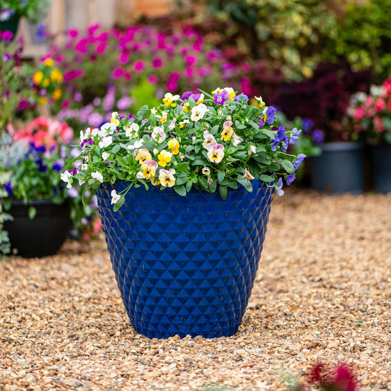 Cassarah Pot Planter, Blue