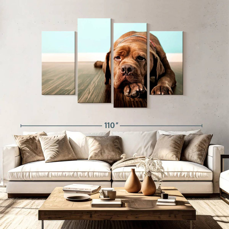 Dogue français Brampt s'ennuie, H 54 po x l 84 po