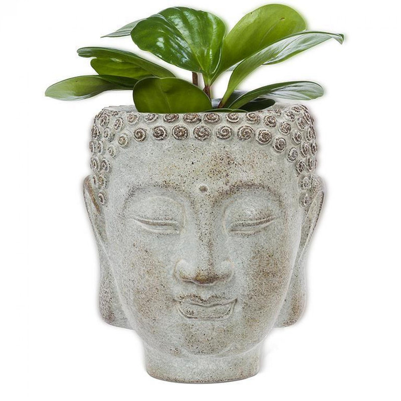 Buddha Head Wall Planter