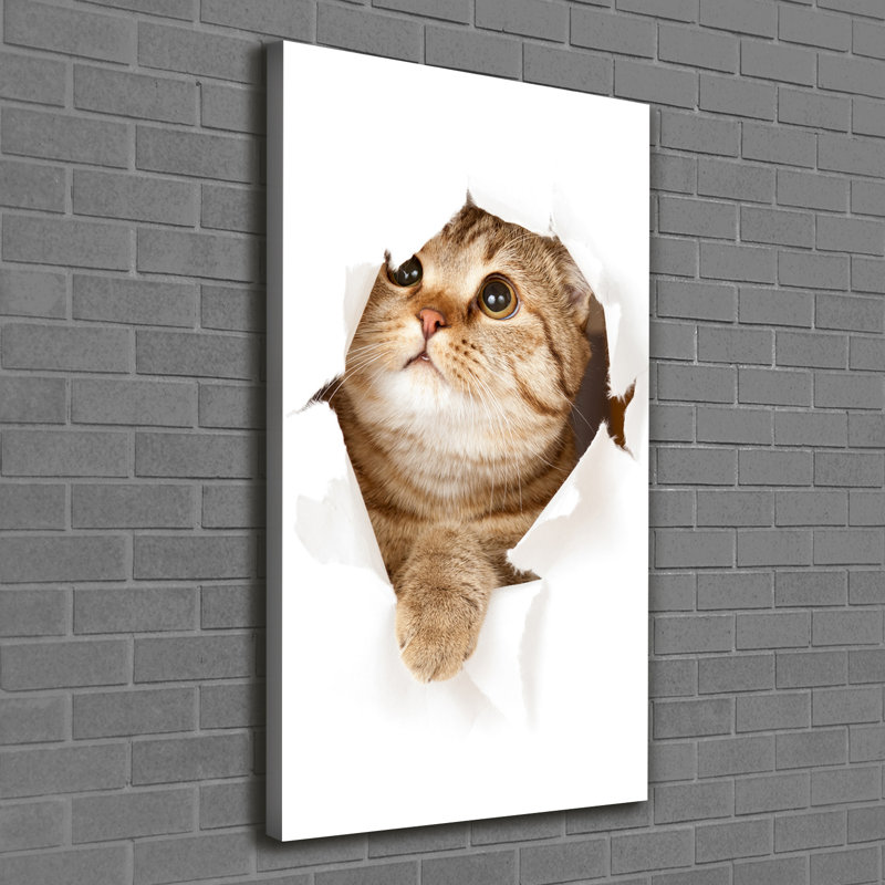 Cat - Wrapped Canvas Print