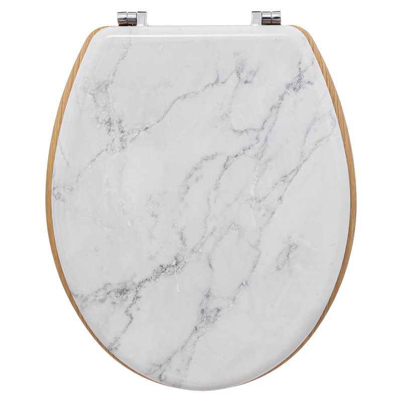 Soft Close Elongated Standard Toilet Seat, White