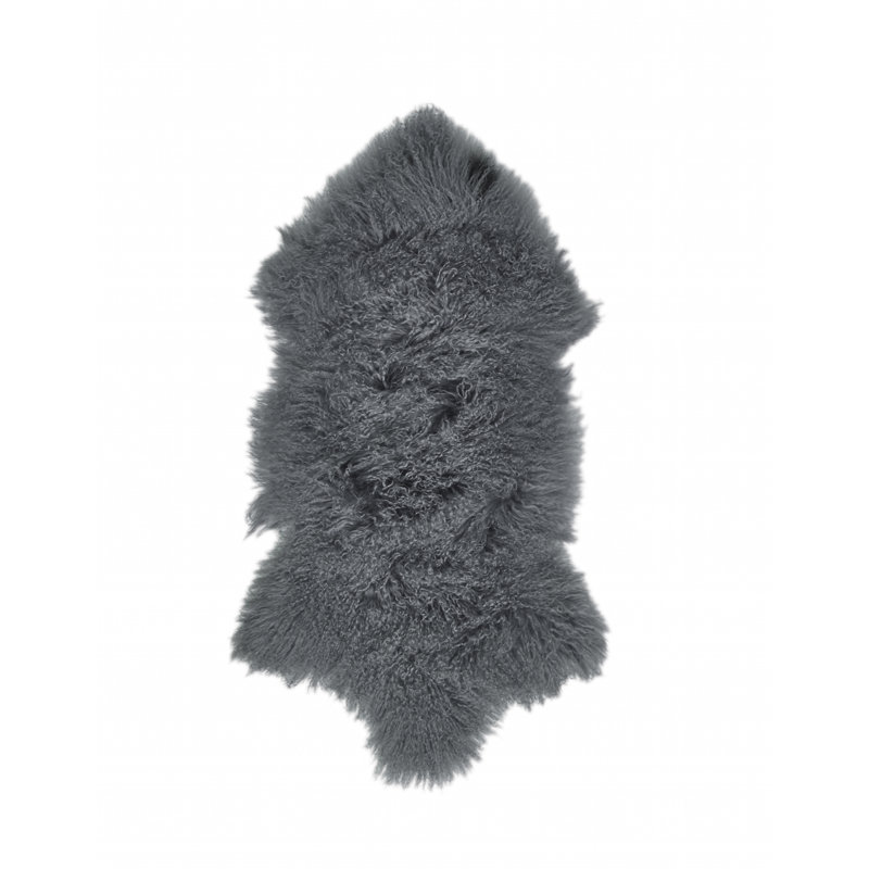 Astorga Novelty 55 cm x 90 cm Area Rug