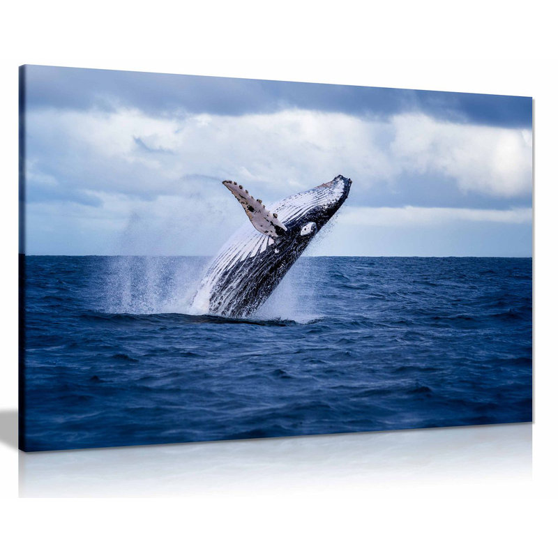 Humpback Whale Jumping Out Water - Wrapped Canvas Print, 20cm H x 31cm W