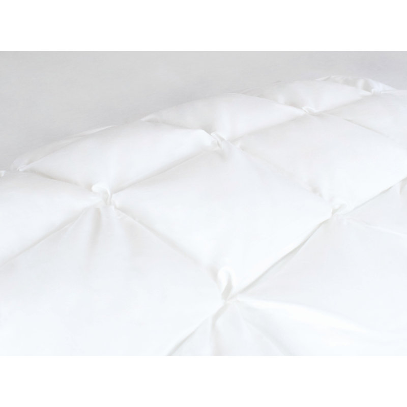 Arthur Sleep Cotton Cloud Pillow