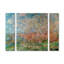 «Spring 1880» par Claude Monet, ensemble de 3 reproductions d'art sur toiles tendues-348657415