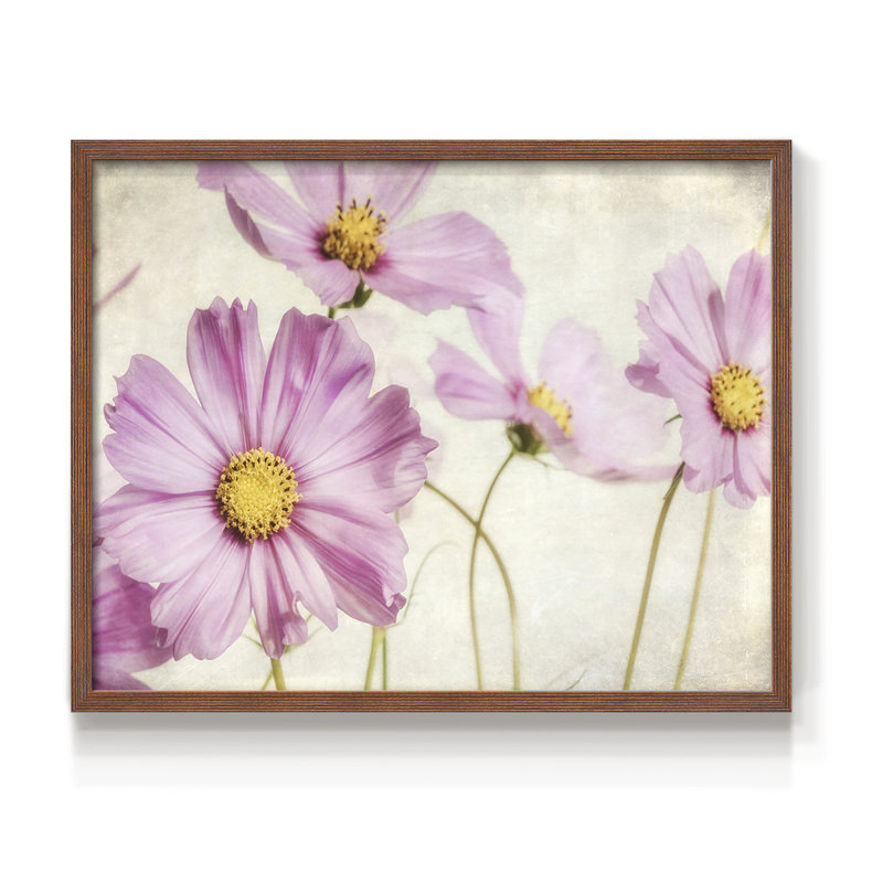 «Pink Cosmos I», reproduction encadrée, H 11 po x l 14 po, Noyer