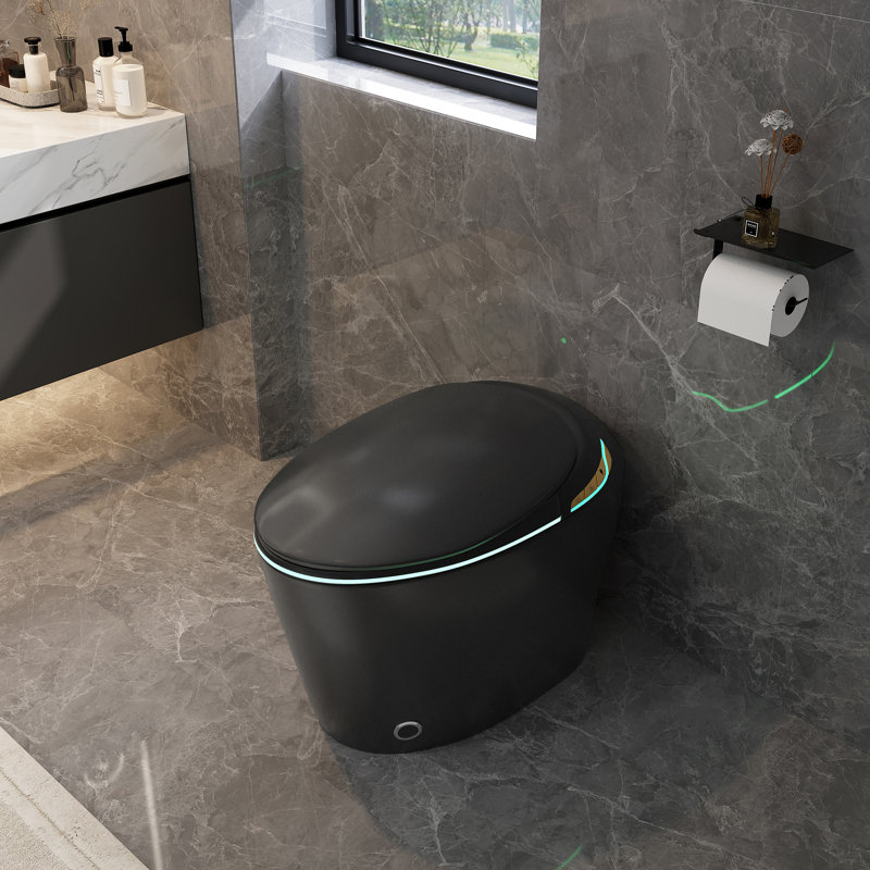 Unique Smart Toile,  One Piece Toilet with Bidet Built In,Auto Open/Close Seat, Foot Sensor, LED Display,Night Light, Warm Water & Dryer,black