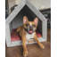 Ecological Hut Pet Cage-66049272-66049271