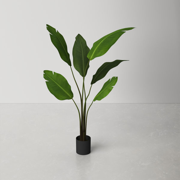 https://assets.wfcdn.com/im/67156199/resize-h600-w600%5Ecompr-r85/2552/255297938/Faux+Palm+Tree+in+Pot+Liner.jpg