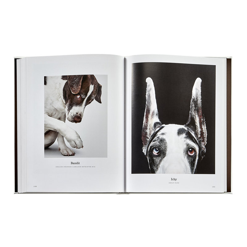Good Dog Leather Bound Book