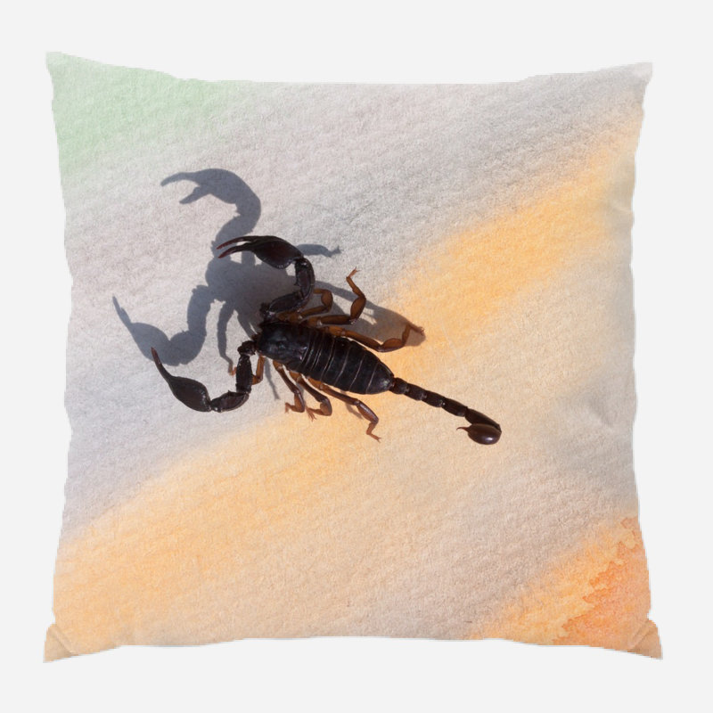 Coussin constellations, Microsuède, Intérieur