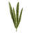 8'' Plant