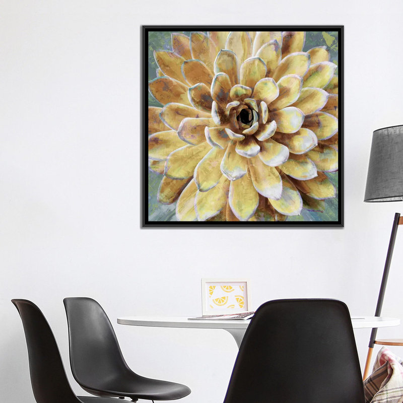 «Succulent II», impression sur toile, H 18 po x l 18 po x P 1,5 po, Toile encadrée noire, Pas de tapis