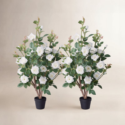 Ashwell UV Resistant Rose Tree