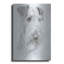 «Shaggy» par Barbara Keith-1667717651