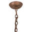 Driftwood 6 - Light Chandelier