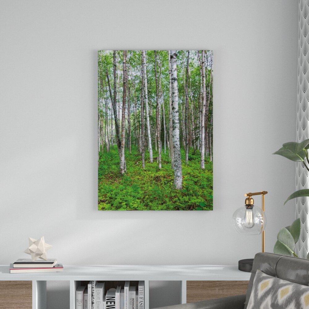 Leinwandbild Beech Forest Fotodruck