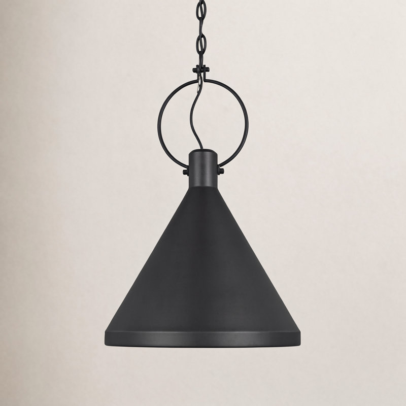 Lyon 1 - Light Pendant, 20.5" H x 14.25" W x 14.25" D, Black