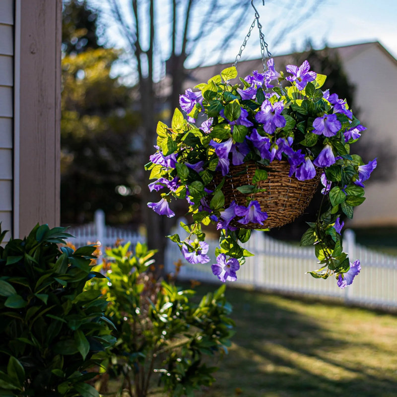 Pétunia mauve en cascade dans un panier suspendu rond en rotin