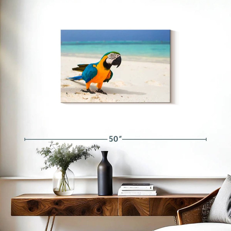 Brampt Macaw On White Sand