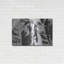 «Bearred Goat» par Donnie Quillen-1519887074