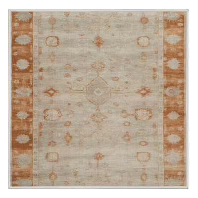 Machine Washable Overdyed Beige Area Rug