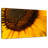 Harnek Magnified Sunflower-107688106