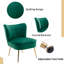 Allyna Velvet Accent Chair-1796169581