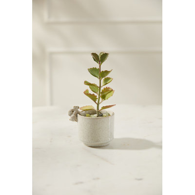 Sneaky Bunny Pot
