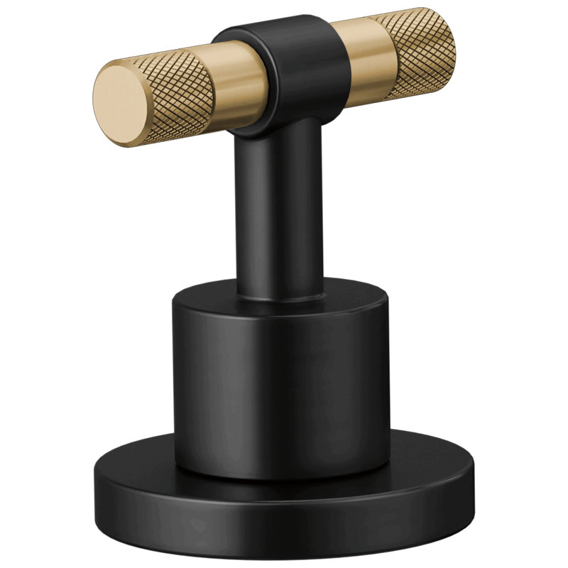Litze® Widespread Lavatory Faucet With High Spout, 1.5 GPM, T-Lever Handle with Luxe Gold, Matte Black