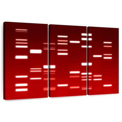 Keiri DNA Red