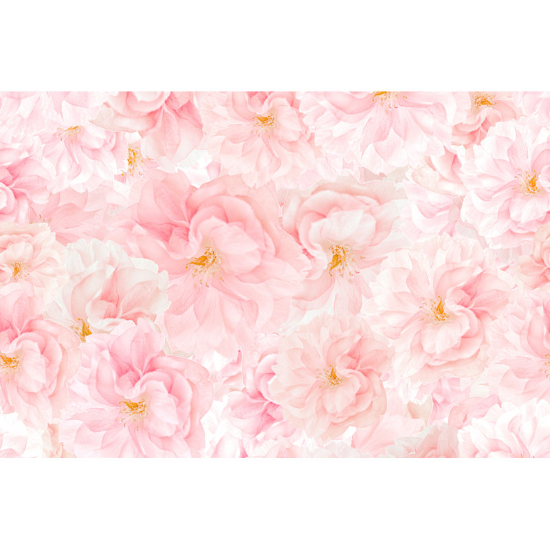 Sakura Blossoms, photographie sur toile tendue, H 8 po x l 12 po, Jaune / rose