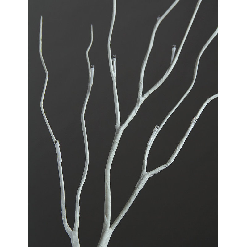 LED Holiday Lighting